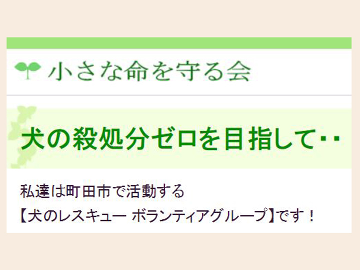 小さな命を守る会の譲渡会