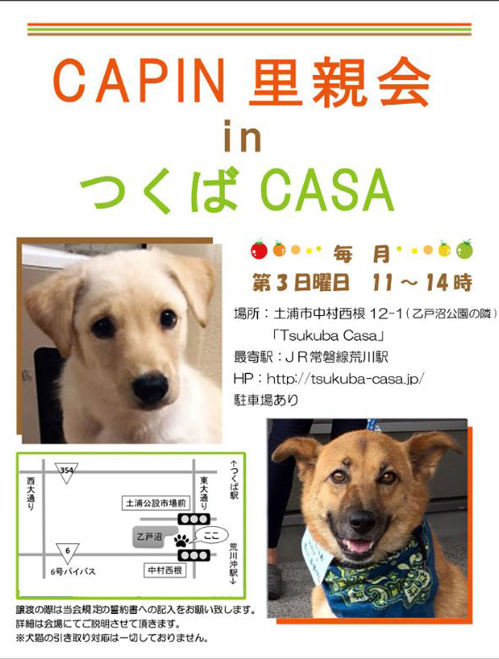 CAPIN つくばCASA里親会