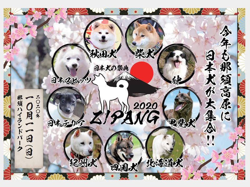 日本犬の祭典【 ＺＩＰＡＮＧ ２０２０ 】