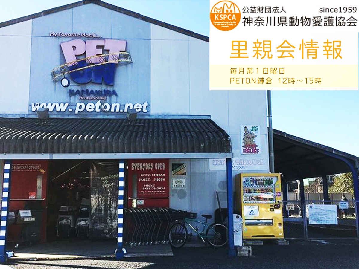 里親会 PETON KAMAKURA
