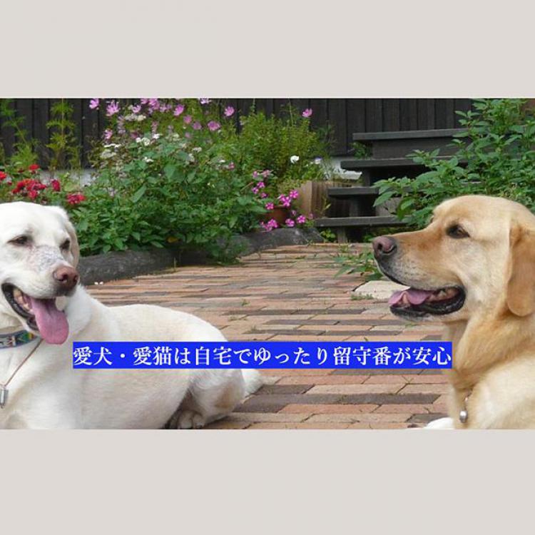 愛犬のお散歩屋さんＪＴＬ釧路店