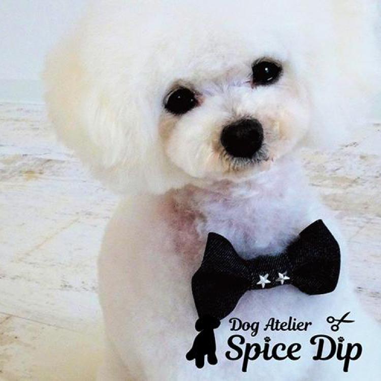 Dog Atelier Spice Dip